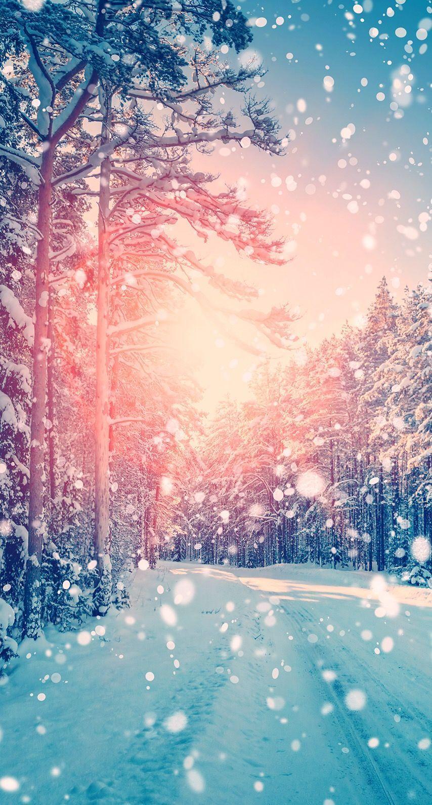  Winterlandschaft Hintergrundbild 854x1590. Prettiest Winter Wallpaper