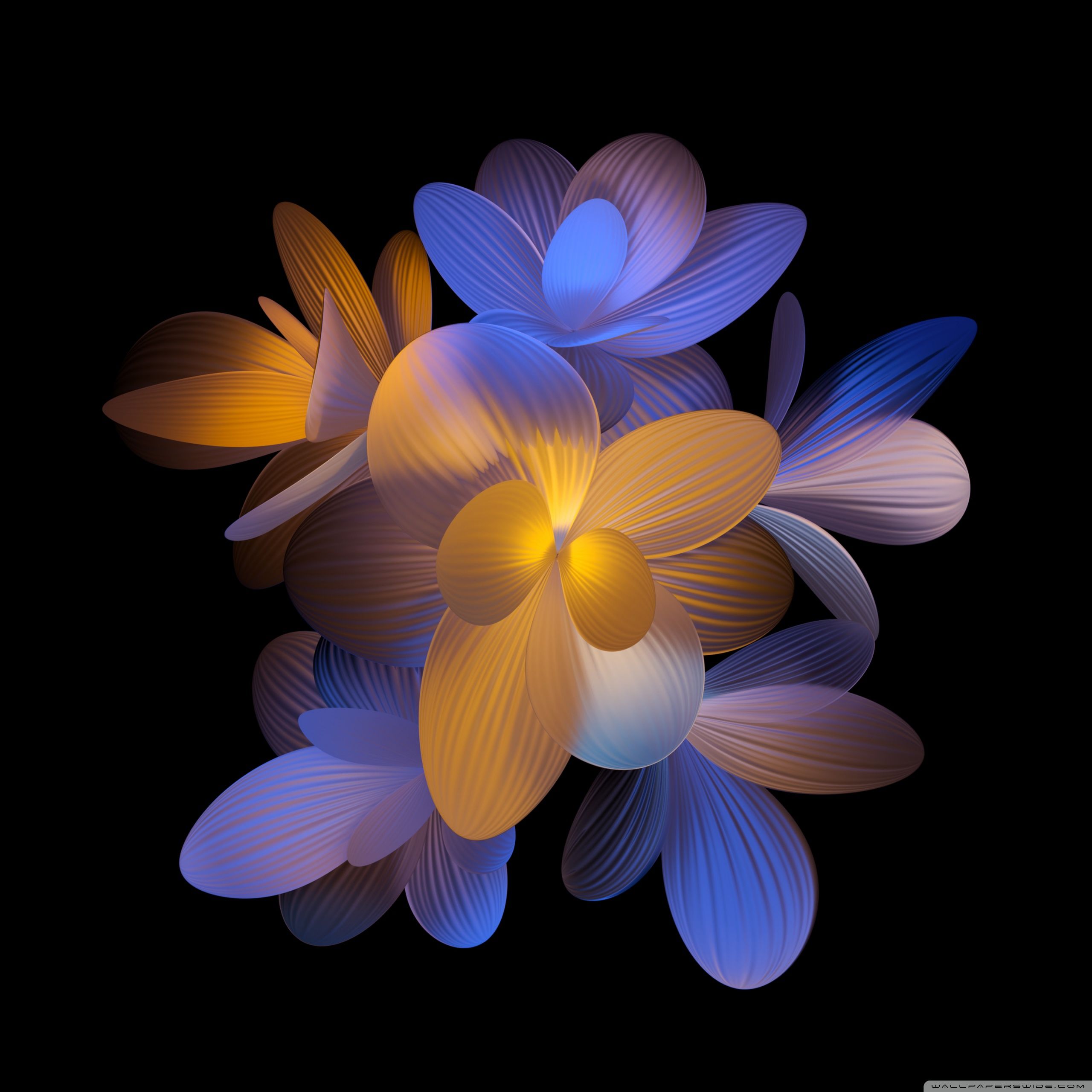  Tablet Hintergrundbild 2560x2560. Flowers Dark Aesthetic Ultra HD Desktop Background Wallpaper for : Widescreen & UltraWide Desktop & Laptop : Multi Display, Dual & Triple Monitor : Tablet