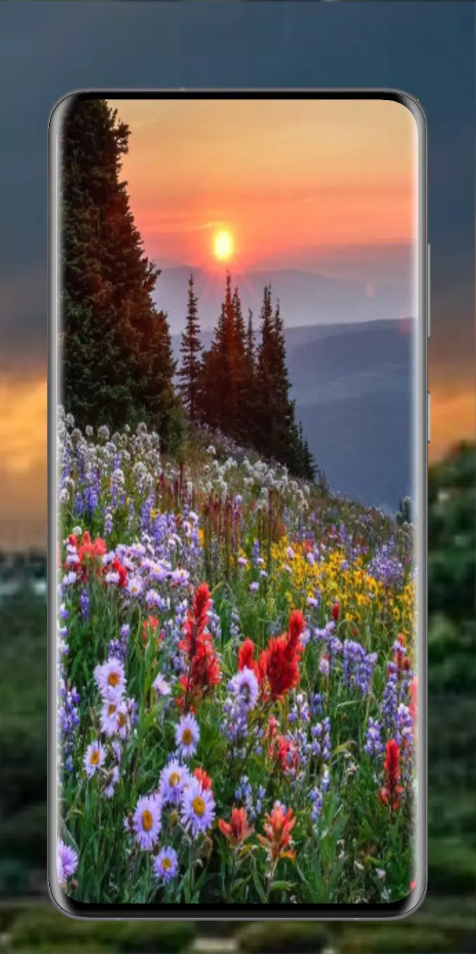  Landschaften Hintergrundbild 678x1357. Nature Aesthetic Wallpaper APK für Android herunterladen