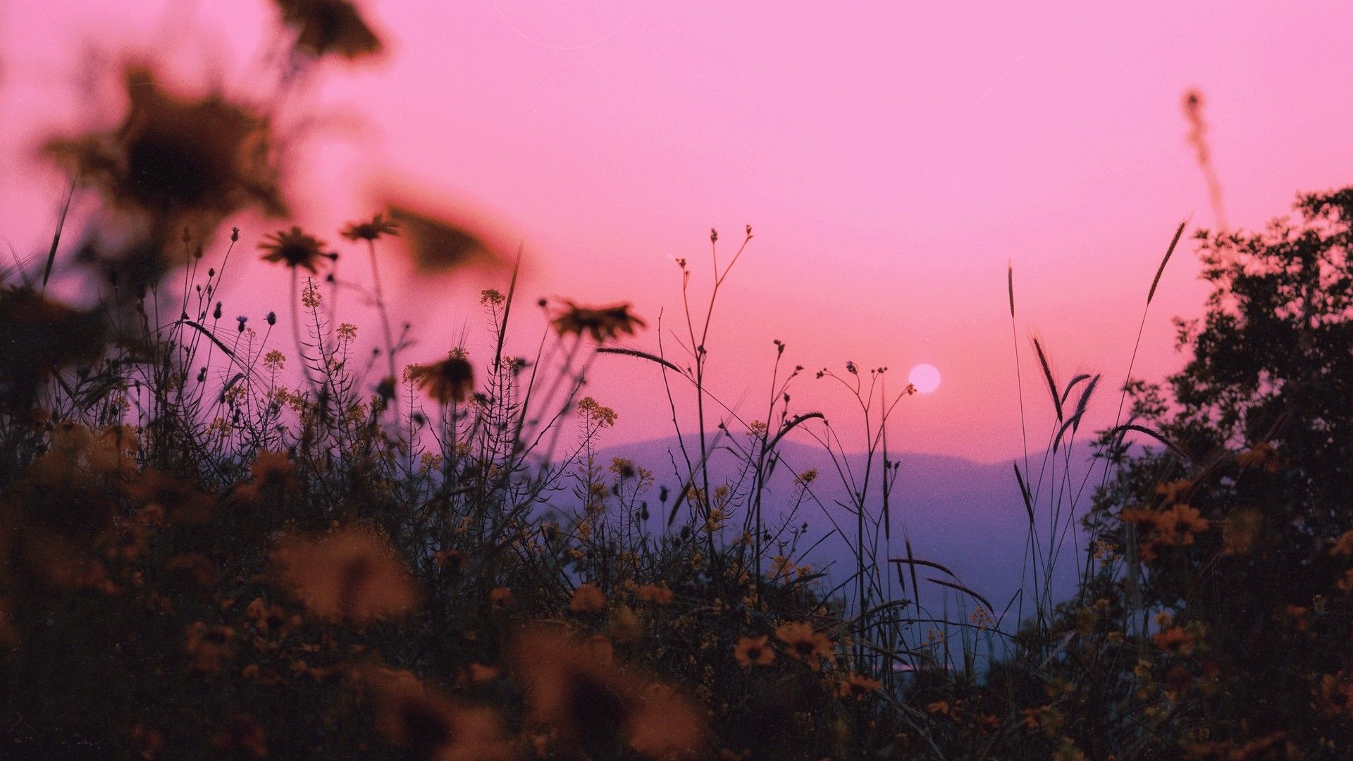  Landschaften Hintergrundbild 1920x1080. Landschaft, Gras, Sonne, Berge, Sonnenuntergang, Horizont. Bild, Foto, Desktop Hintergrund