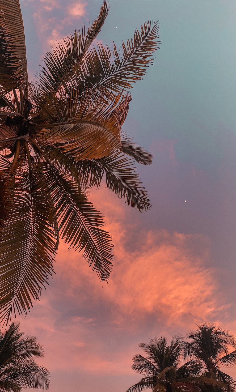  Fotografie Hintergrundbild 1000x1660. Sunset Aesthetic Picture. Download Free Image