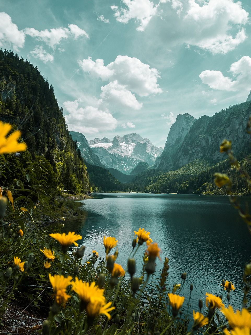  Landschaften Hintergrundbild 961x1280. Landschaft Berge Österreich Foto auf Pixabay