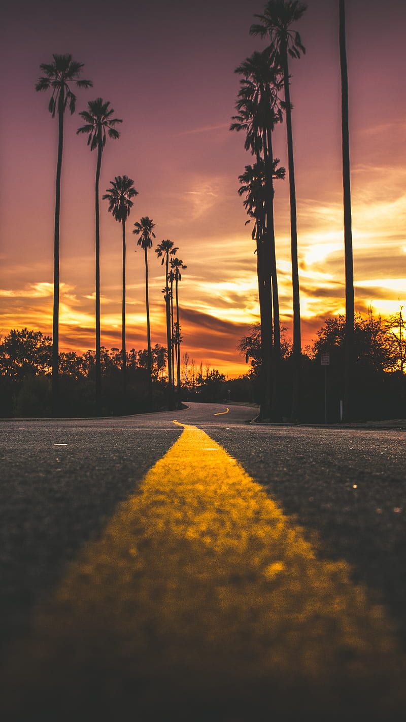  California Hintergrundbild 800x1423. California sunset, street, sunset, HD phone wallpaper