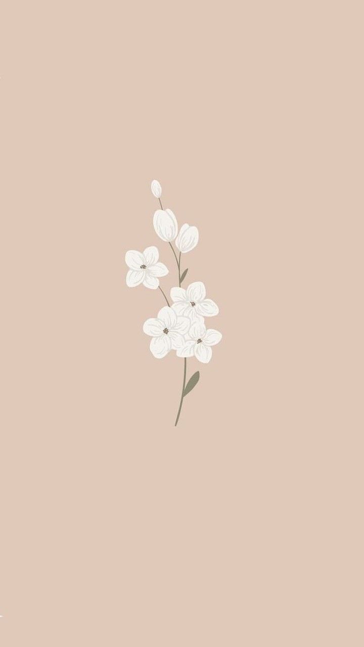  Schlichte Hintergrundbild 720x1280. Шаблоны для сторис в инстаграмме. Flower drawing, Flower phone wallpaper, Vintage flowers wallpaper