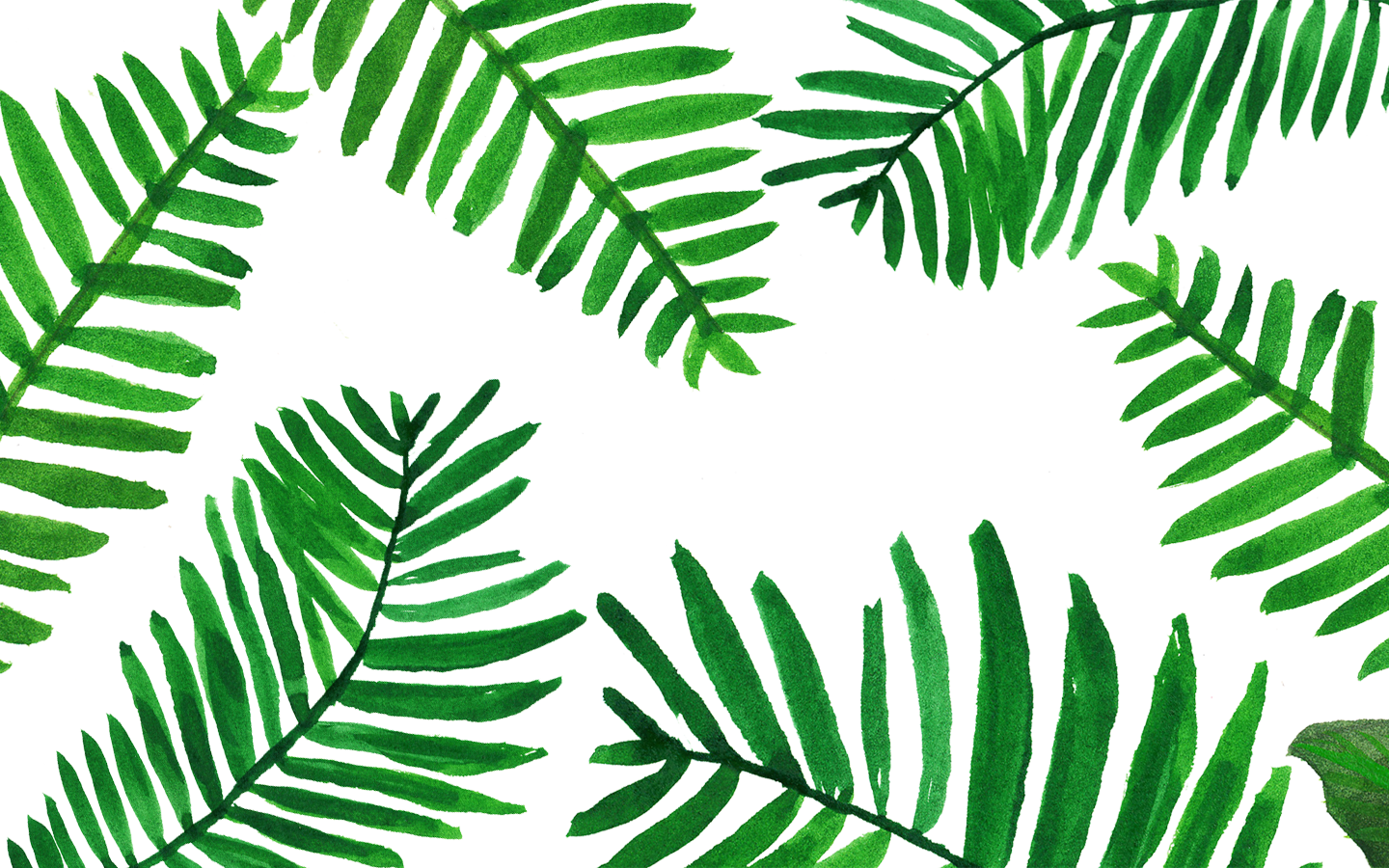  Blätter Hintergrundbild 1440x900. Design: Palm Leaves Wallpaper für Juli mit Milch. Blätter tapeten, Baum hintergrundbild, Handy hintergrund