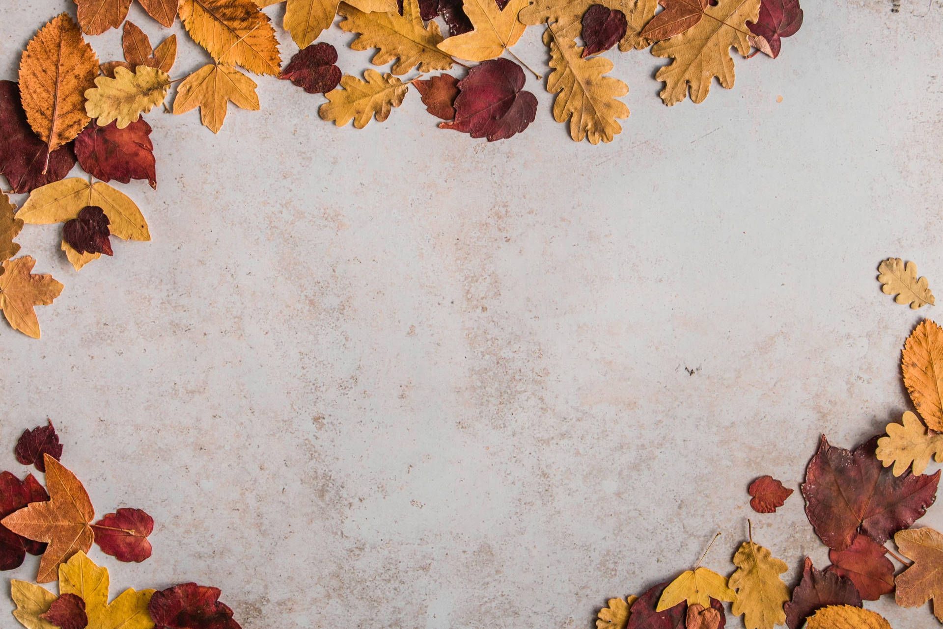  Blätter Hintergrundbild 1920x1282. Herbst Ästhetik Wallpaper KOSTENLOS