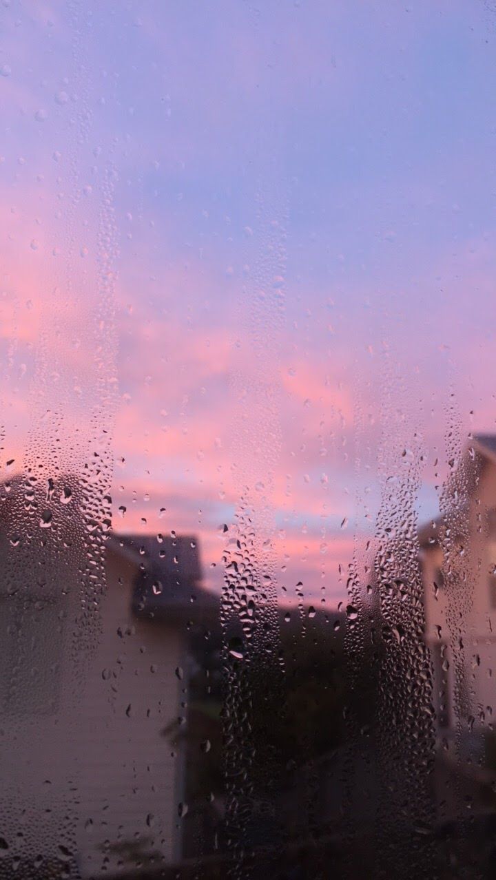  Regen Hintergrundbild 720x1278. violet morning 3.3. Landscape wallpaper, Sky aesthetic, Nature photography flowers