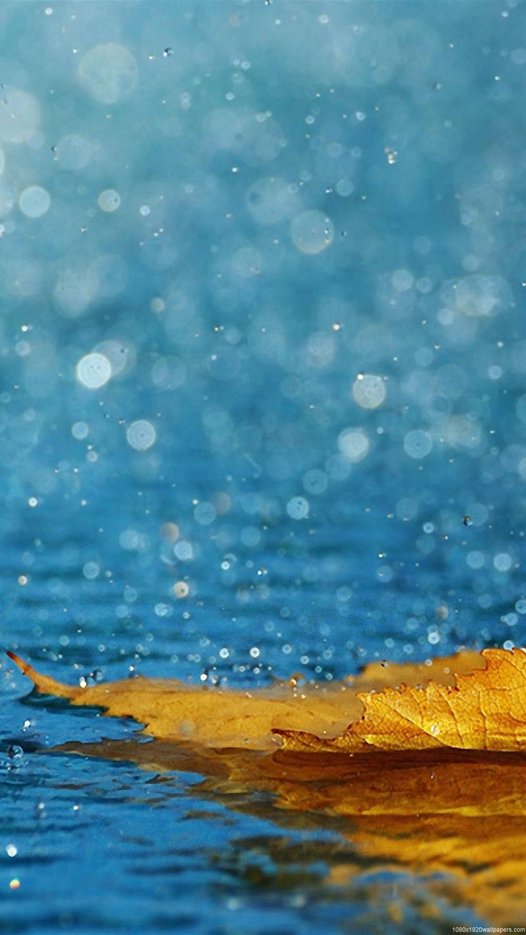  Regen Hintergrundbild 1080x1920. IPhone Regen Wallpaper KOSTENLOS