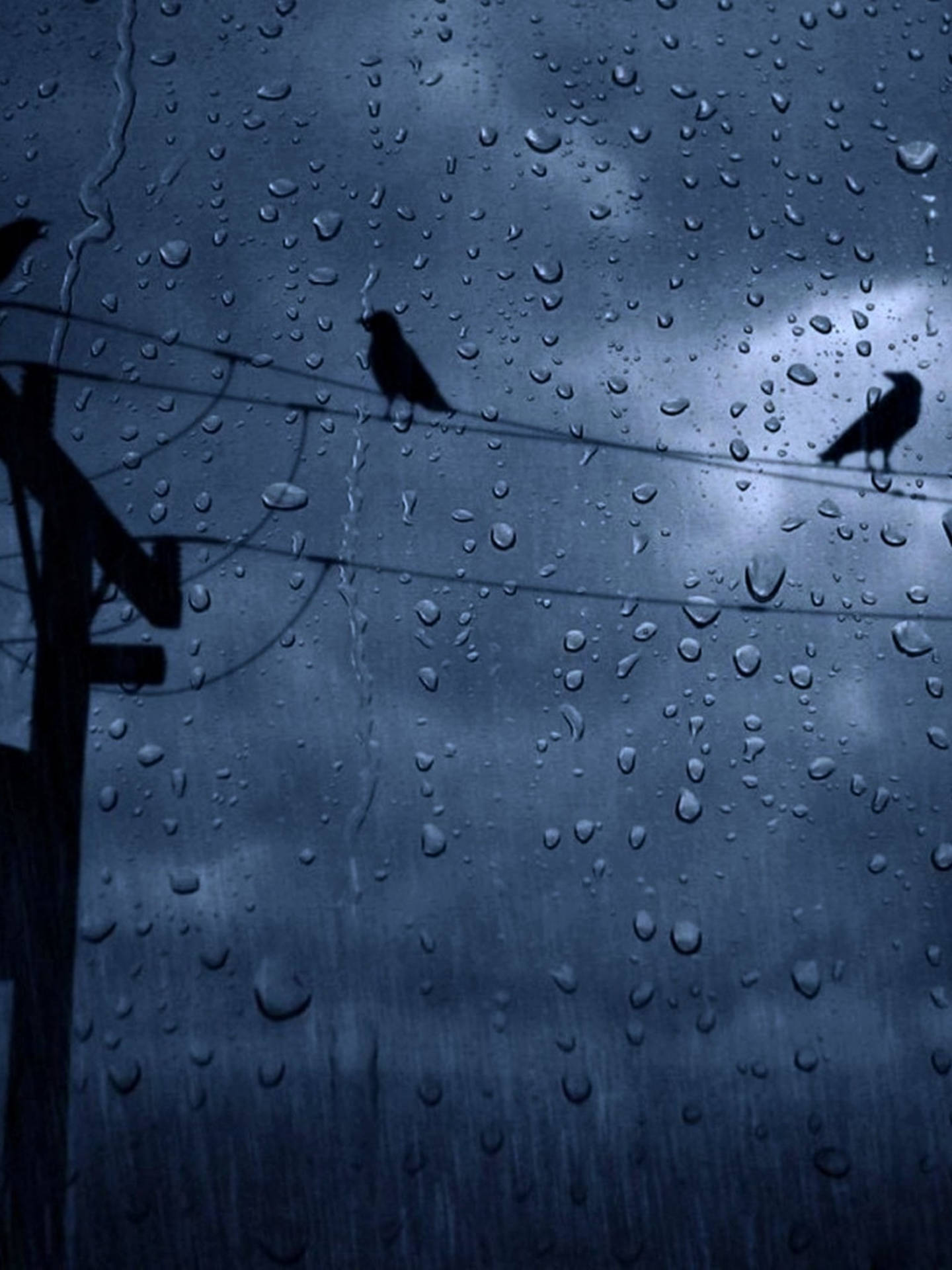  Regen Hintergrundbild 1440x1920. Wetter Wallpaper KOSTENLOS