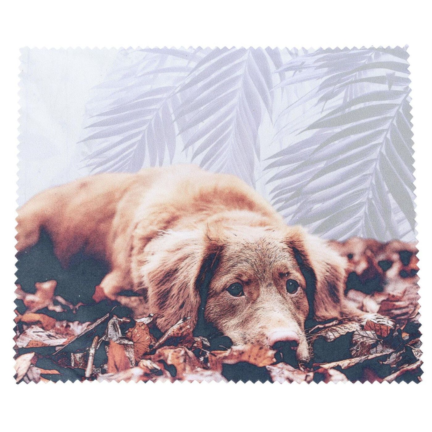  Schöne Tiere Hintergrundbild 1400x1400. Macroclean Microfasertuch Für Eine Perfekt Saubere Brille Mit Hunde M