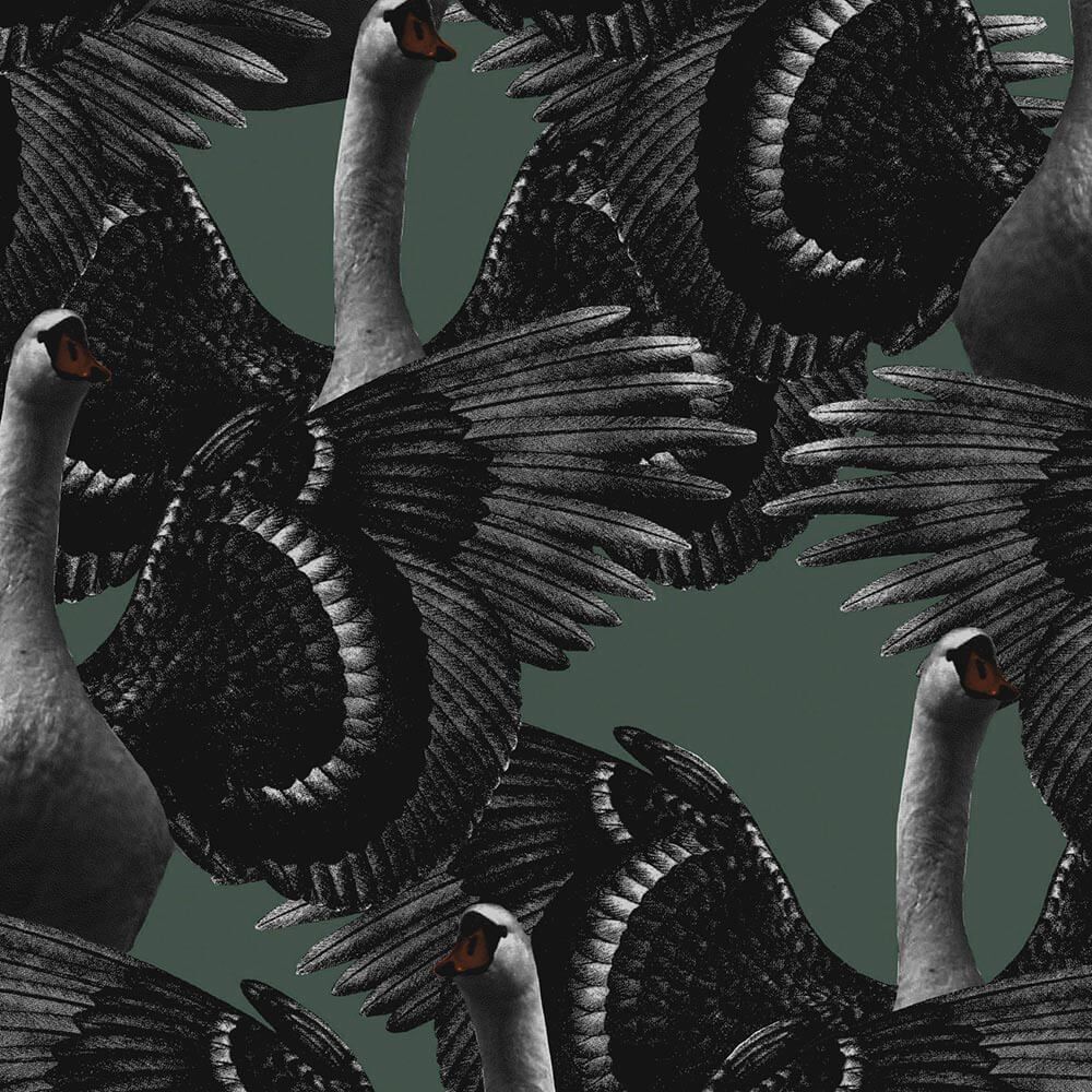  Schöne Tiere Hintergrundbild 1000x1000. Tapete SWAN LAKE dunkelgraugrün von Ulricehamns Tapetfabrik aus Schweden