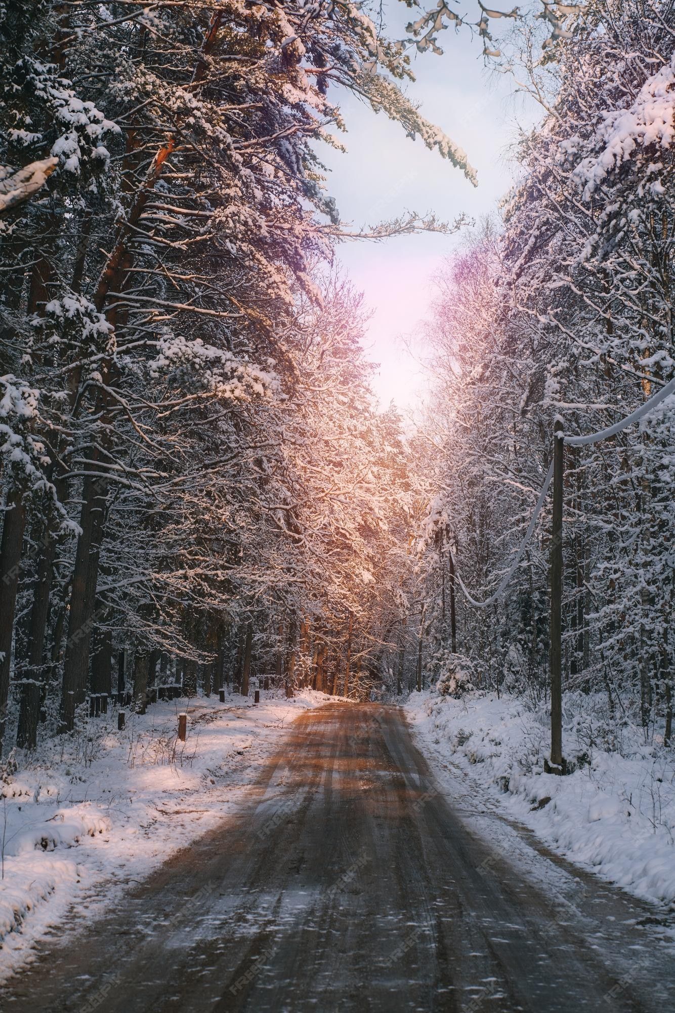  Winterwald Hintergrundbild 1334x2000. Winterwaldgasse, die während des schneesturms von schnee bedeckt ist ländlicher weg im wald im winter