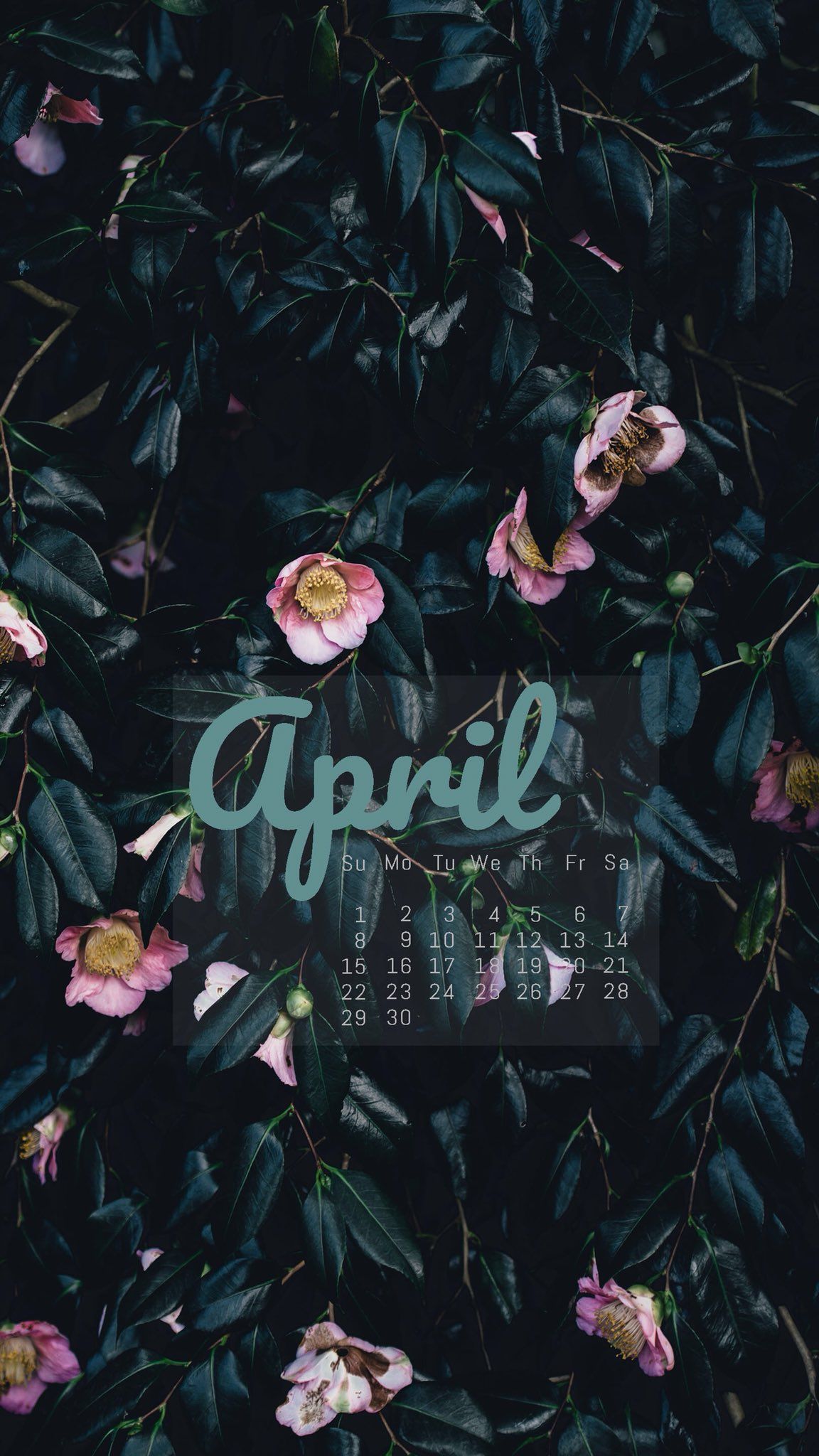  Zedge Hintergrundbild 1152x2048. ZEDGE on X: Get your phone ready for April with a calendar wallpaper or lockscreen made by Zedge! See on Zedge Premium! #april #calendar #flowers #bushes #spring #springtime #dates #days #markyourcalendars #digitalart #