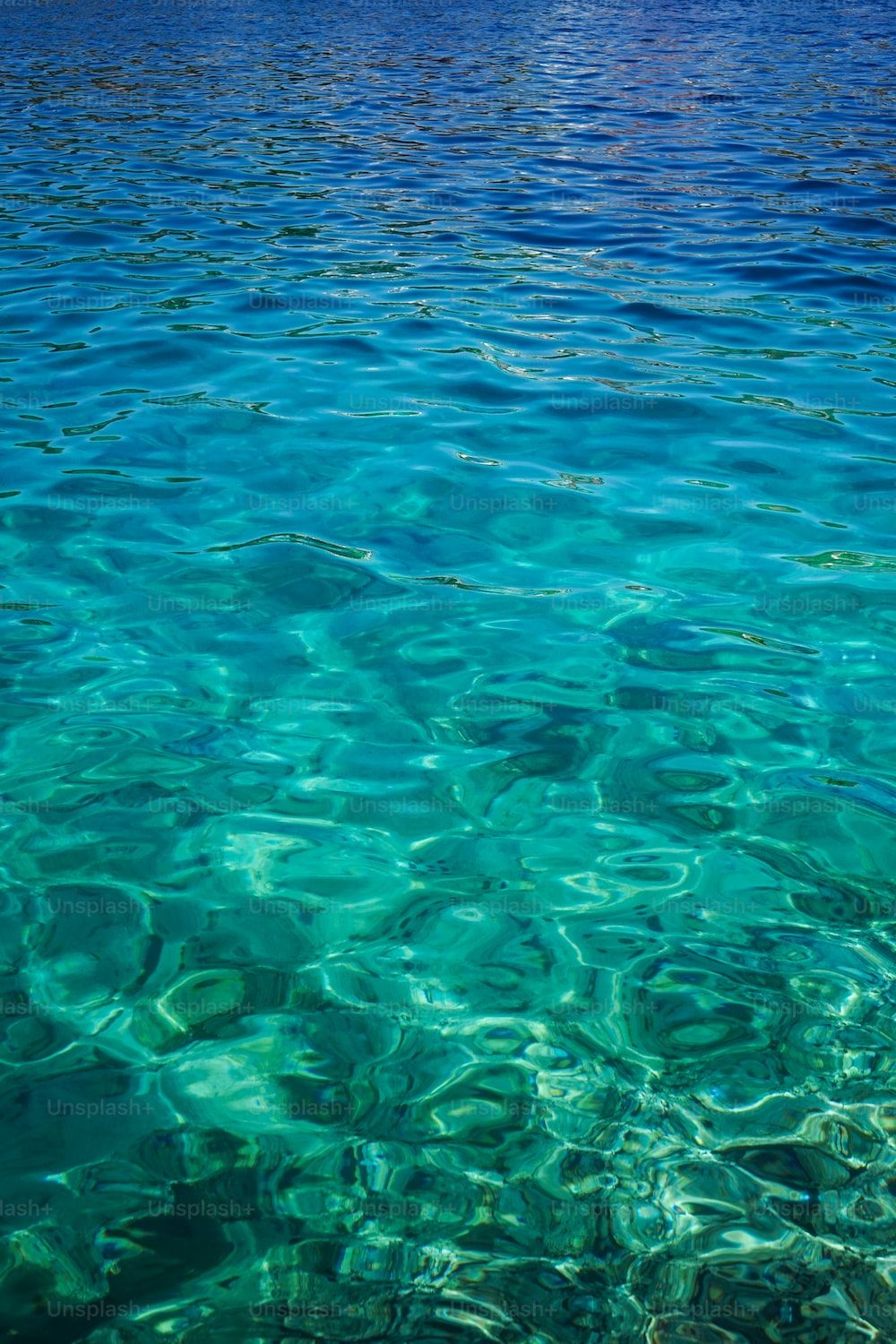  Meer Unterwasserwelt Hintergrundbild 1000x1500. Meer Hintergrundbilder. Laden Sie kostenlose Bilder auf herunter