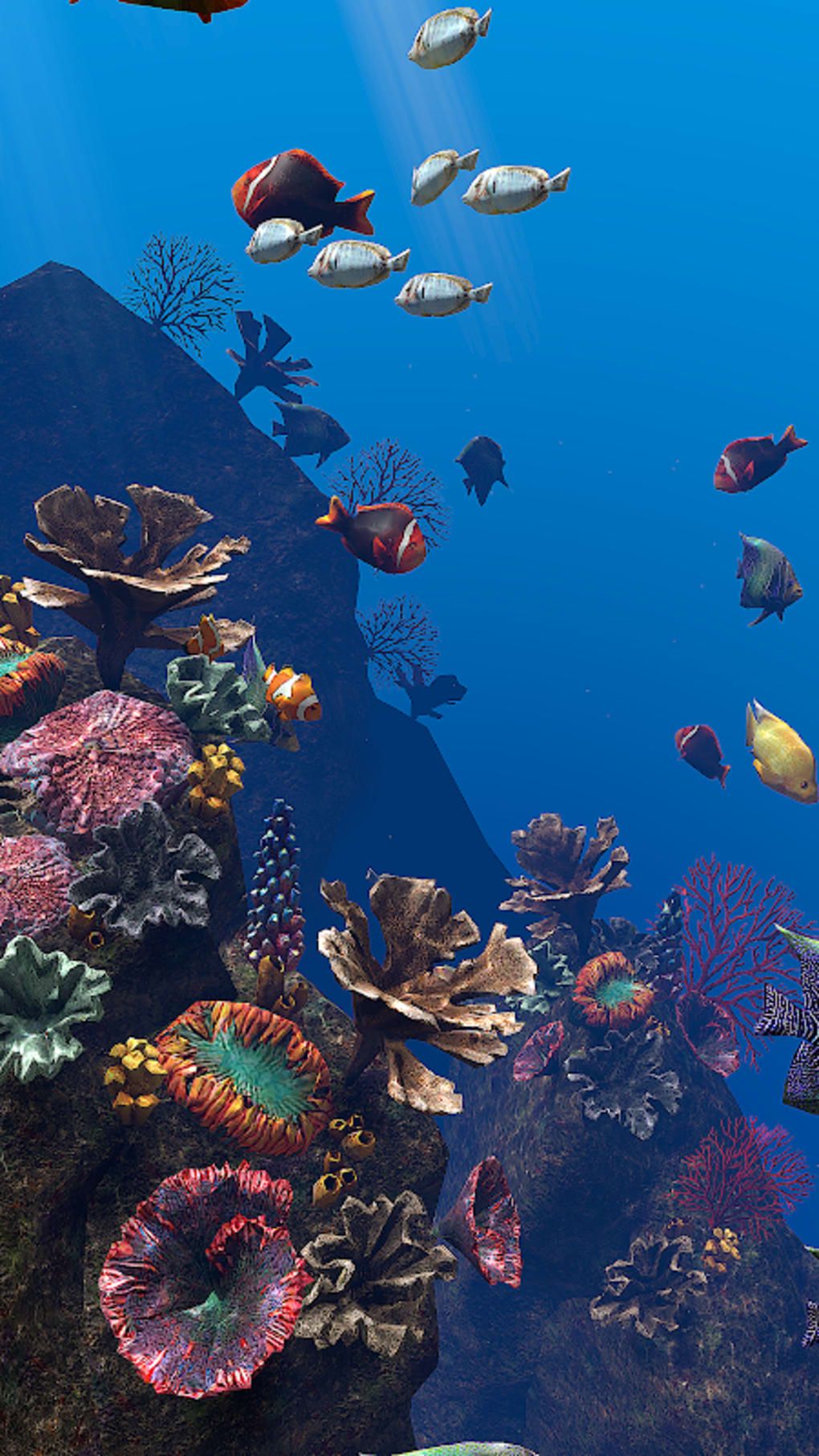  Meer Unterwasserwelt Hintergrundbild 1020x1813. OCEAN AQUARIUM Live Wallpaper FREE APK für Android