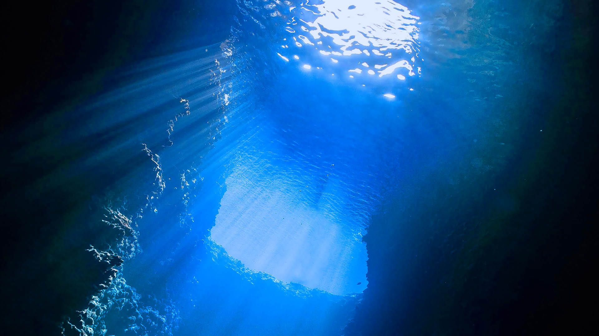  Meer Unterwasserwelt Hintergrundbild 1920x1080. IM TIEFENRAUSCH. Film unter Wasser