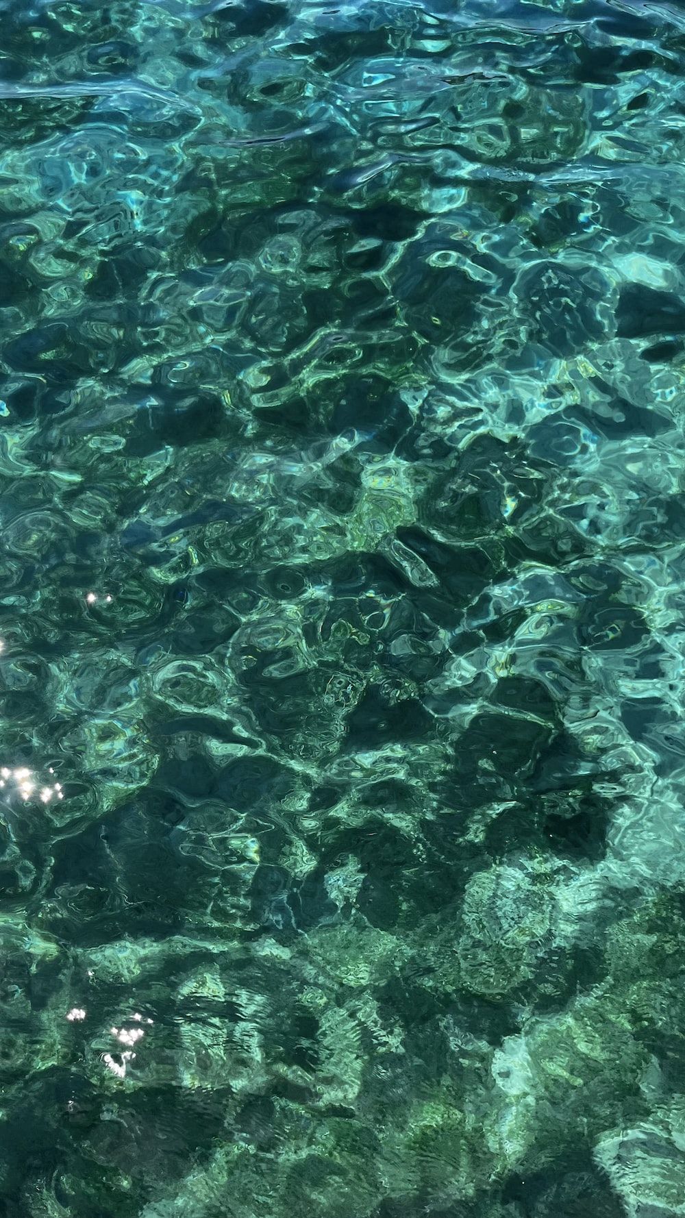  Meer Unterwasserwelt Hintergrundbild 1000x1778. Foto zum Thema Das Wasser ist kristallklar und blau