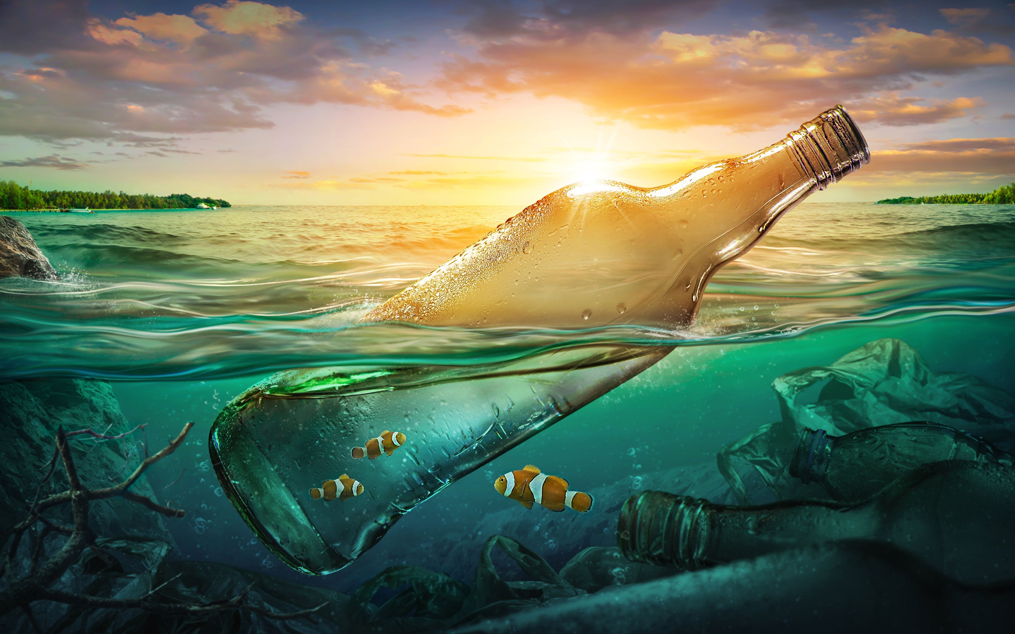  Meer Unterwasserwelt Hintergrundbild 3840x2400. Fotos von Fische Natur Wasser Flasche Kehricht 3840x2400