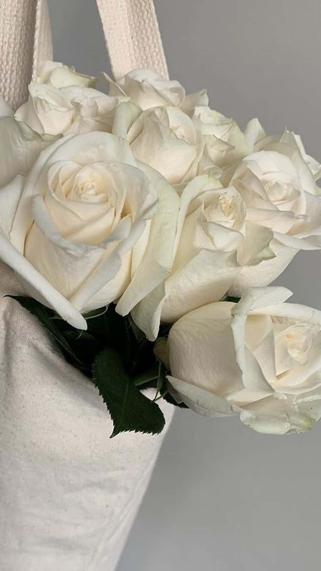  Weiße Rosen Hintergrundbild 1081x1920. Downloaden Weißerosen Ästhetische Tasche Im Hochformat Wallpaper