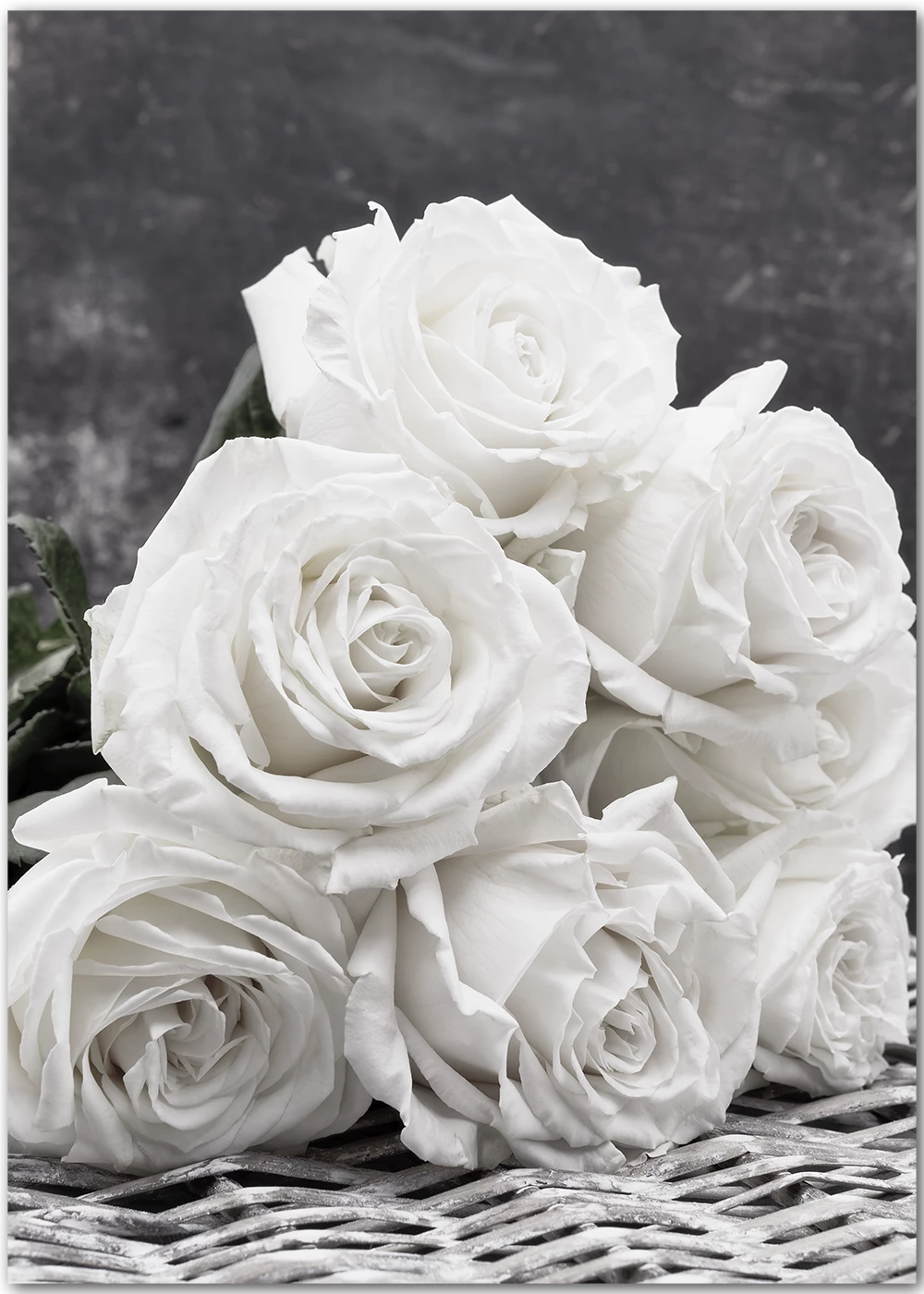  Weiße Rosen Hintergrundbild 1000x1400. Poster Weiße Rosen