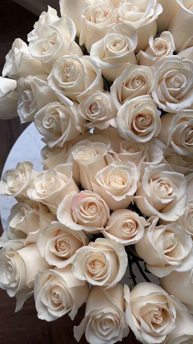  Weiße Rosen Hintergrundbild 675x1200. Flowers