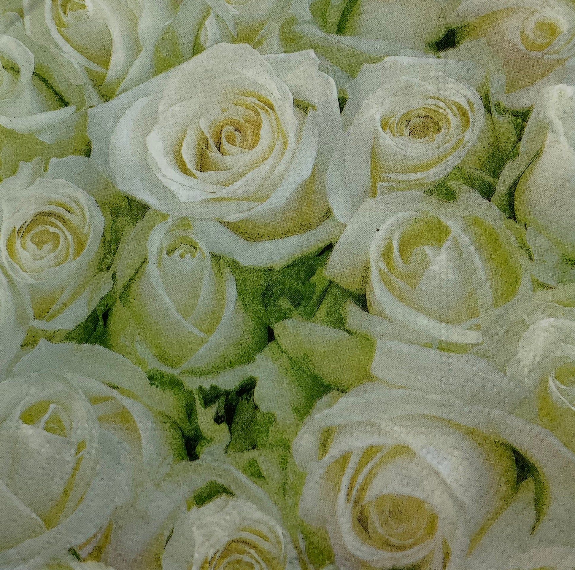  Weiße Rosen Hintergrundbild 1938x1922. Weiße Rosen