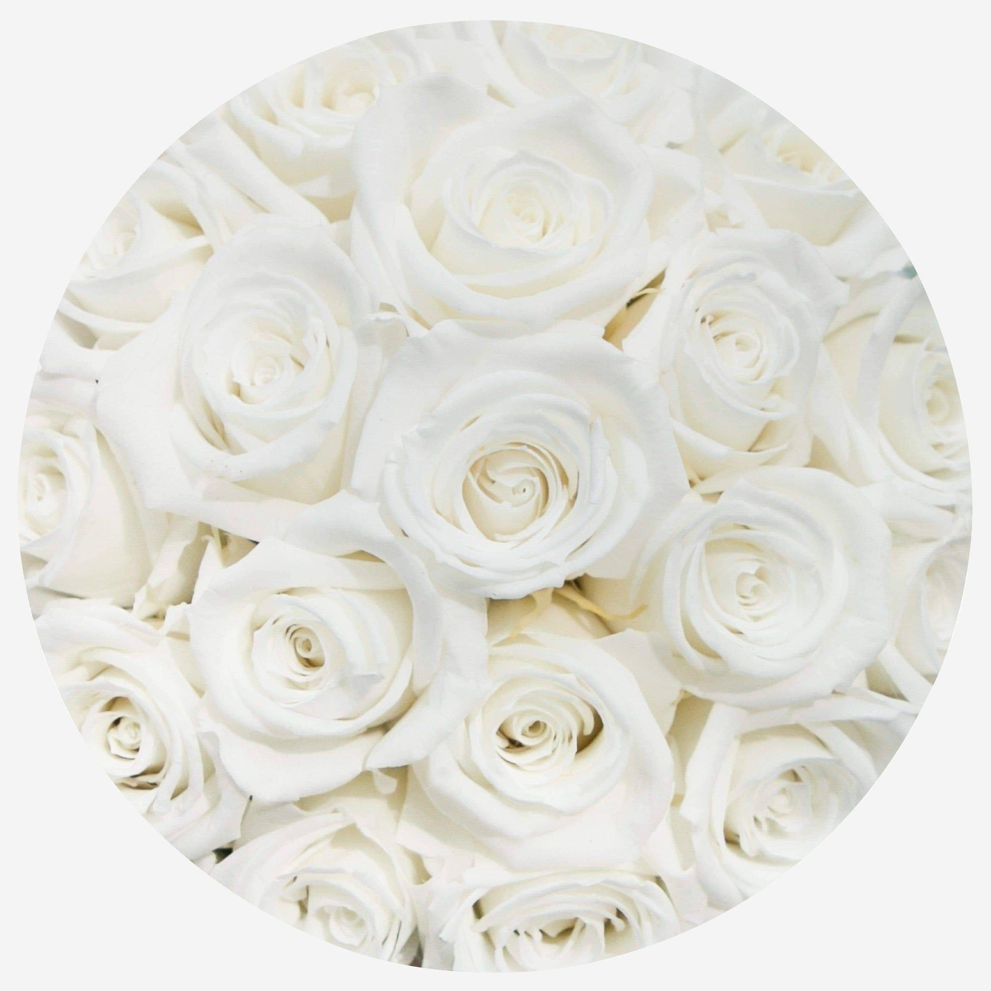  Weiße Rosen Hintergrundbild 1946x1946. Basic Box. Weiß. Weiße Rosen. The Million Roses