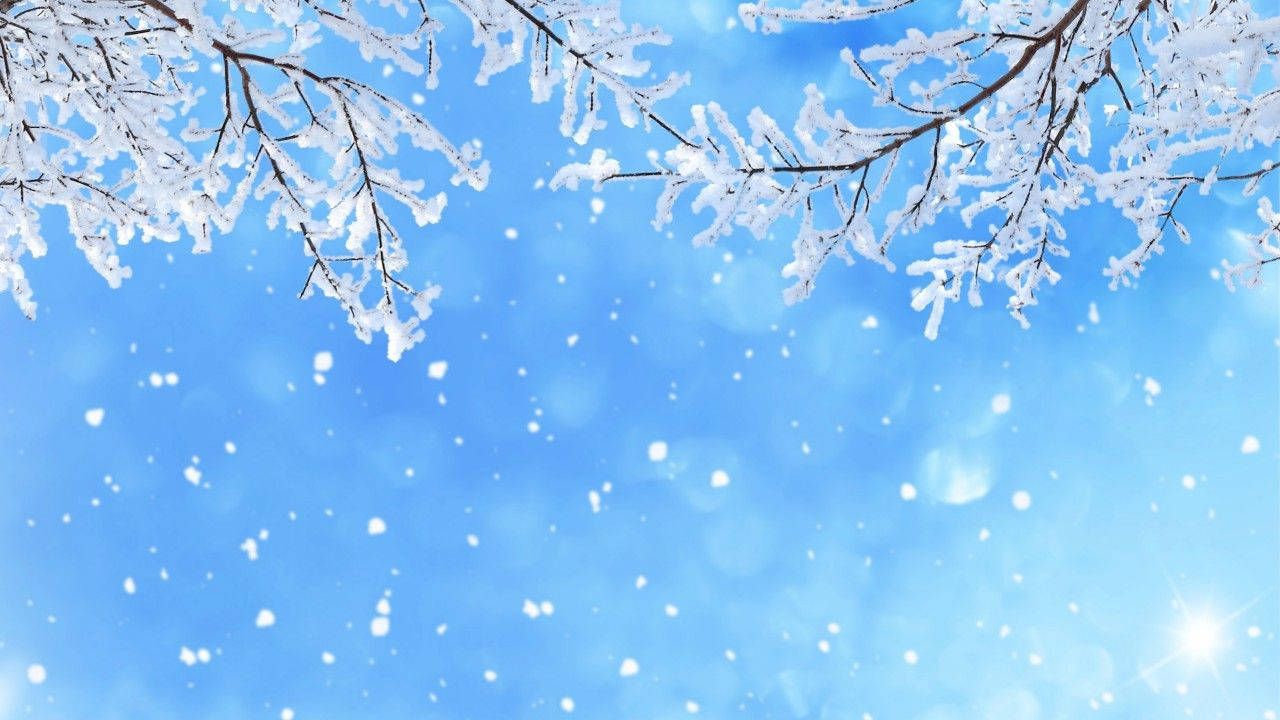 Winterliche Hintergrundbild 1280x720. Schnee Wallpaper KOSTENLOS