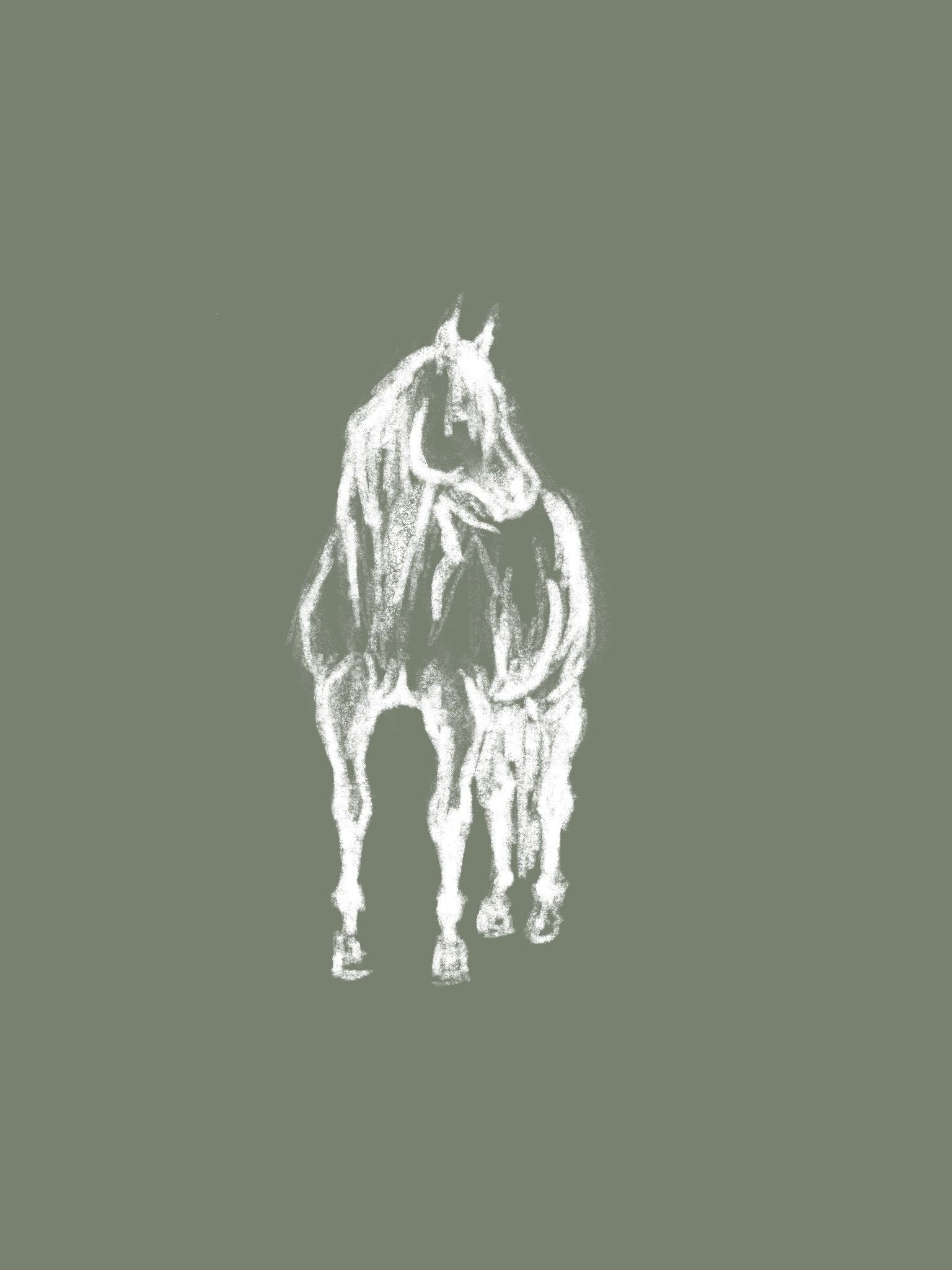  Hauspferd Hintergrundbild 1536x2048. Salbeigrünes Pferd