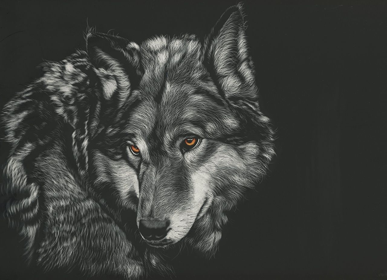  Schwarze Hintergrundbild 1280x928. Desktop Hintergrundbilder Wolf schwarz weiß Kopf ein Tier Gezeichnet