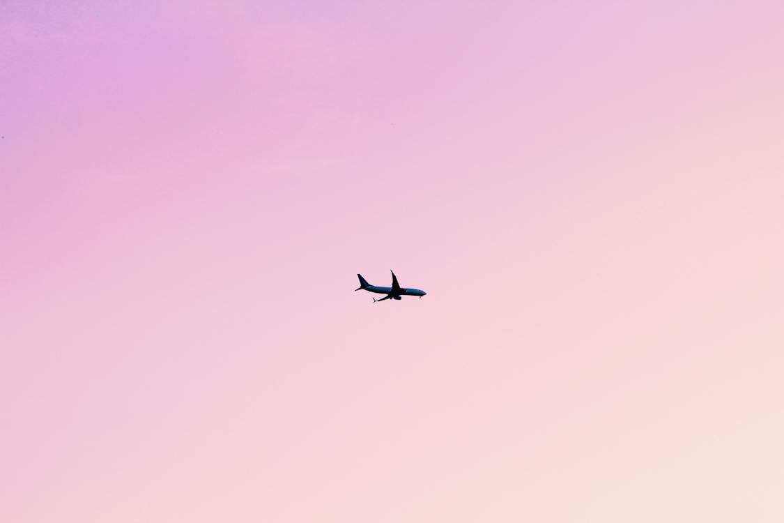  Flugzeug Hintergrundbild 1125x750. Kostenloses Foto zum Thema: fliegen, flug, flugzeug, rosa himmel