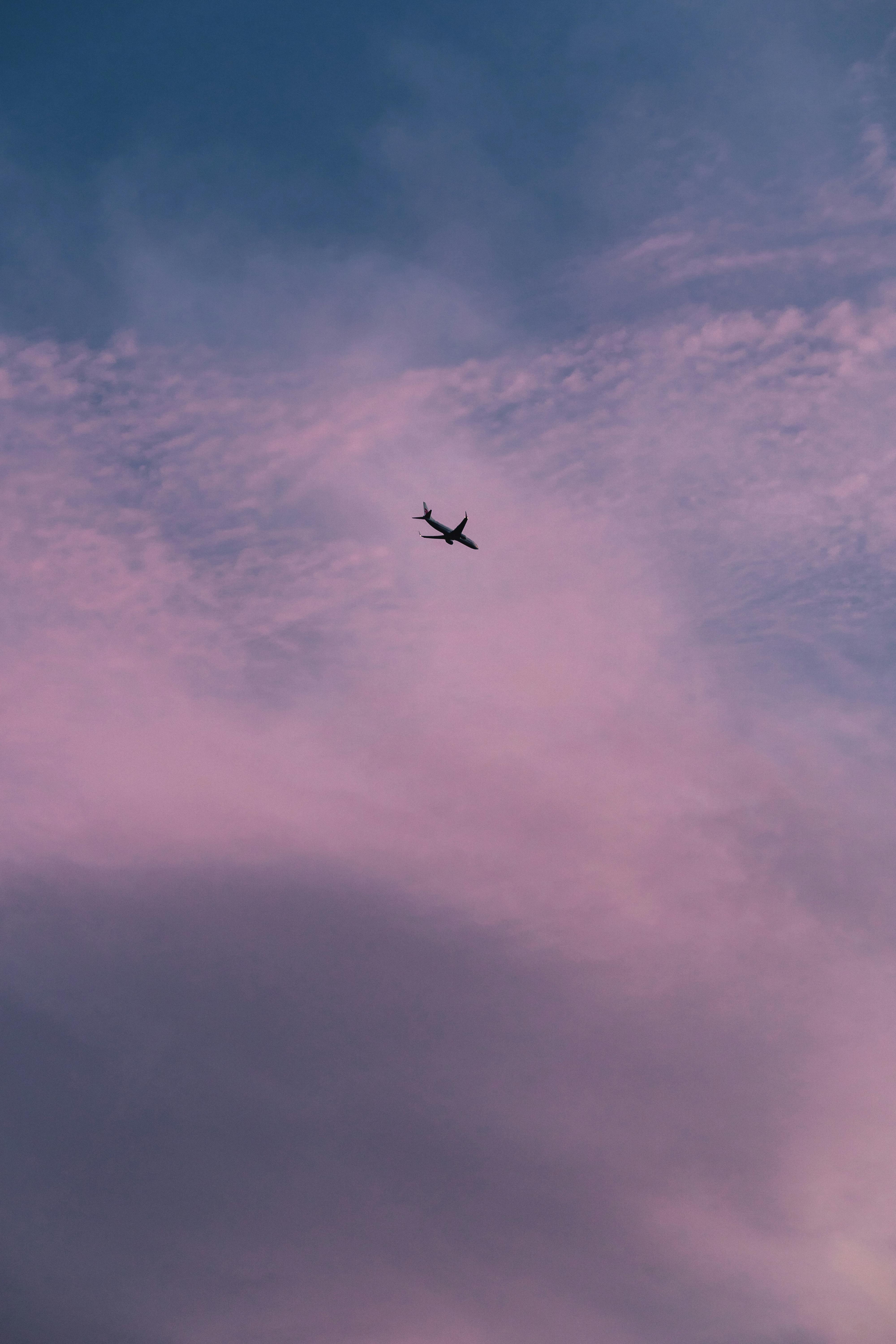  Flugzeug Hintergrundbild 4000x6000. Kostenloses Foto zum Thema: flug, flugzeug, himmel, lila, vertikaler schuss, wolken