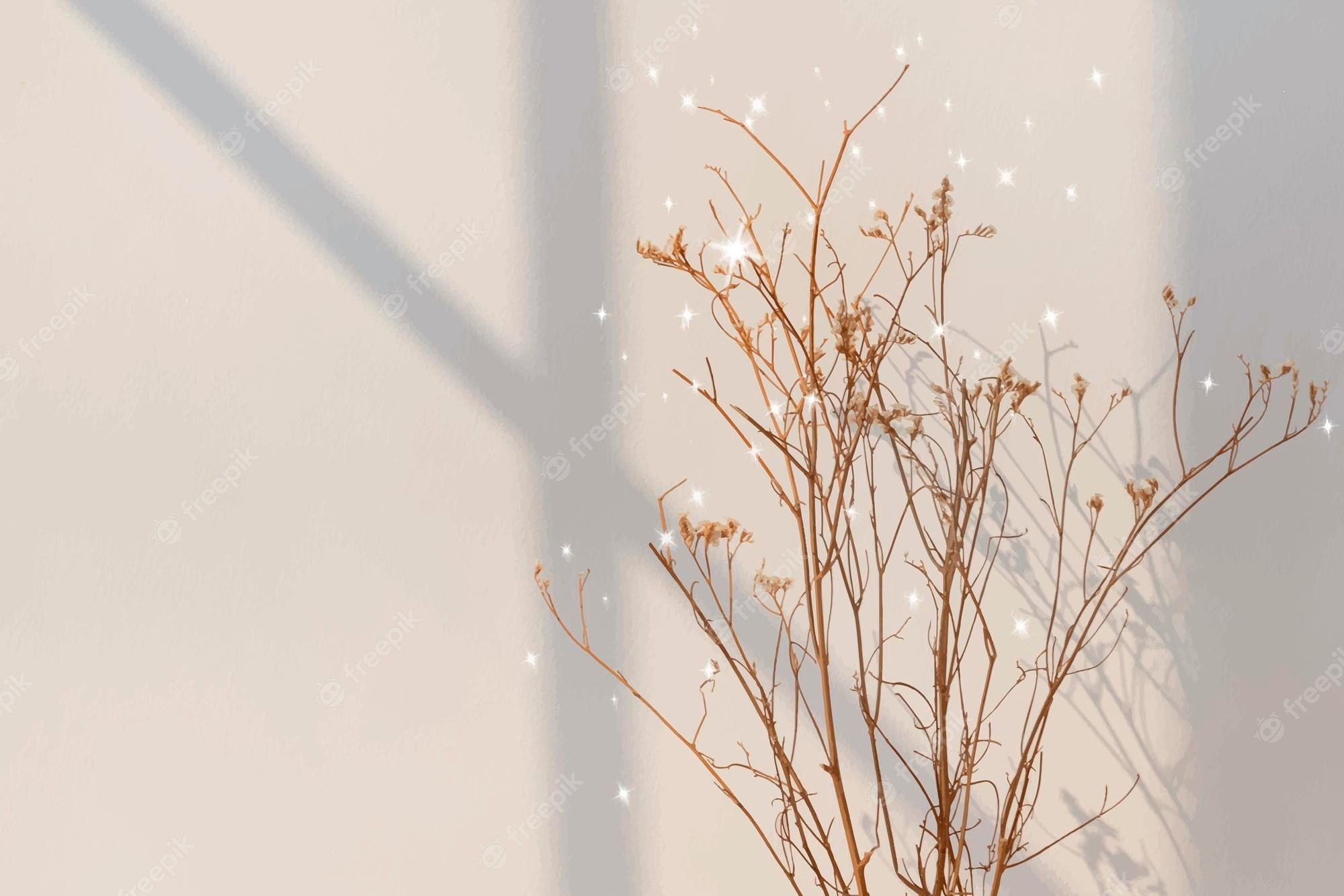 Glitzer Hintergrundbild 2000x1334. Free Vector. Aesthetic background vector, dried flower with shadow, glitter design