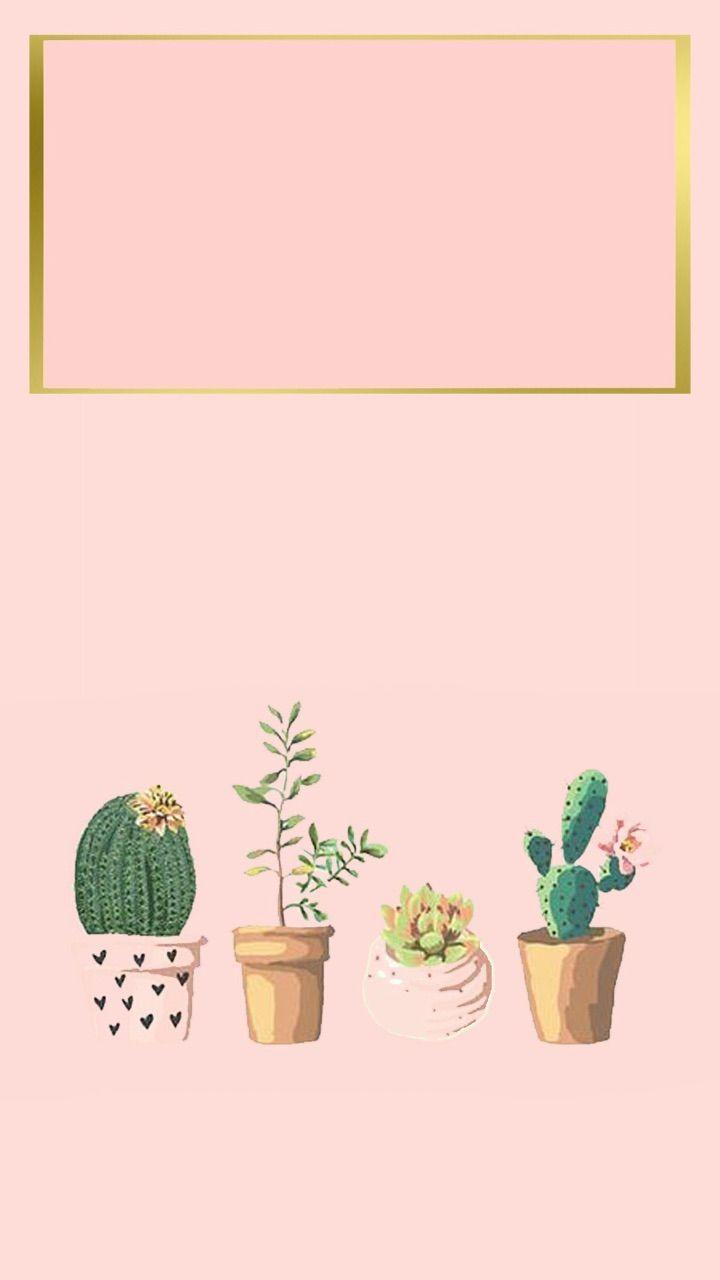  Sukkulente Hintergrundbild 720x1280. Pink Succulent Phone Wallpaper