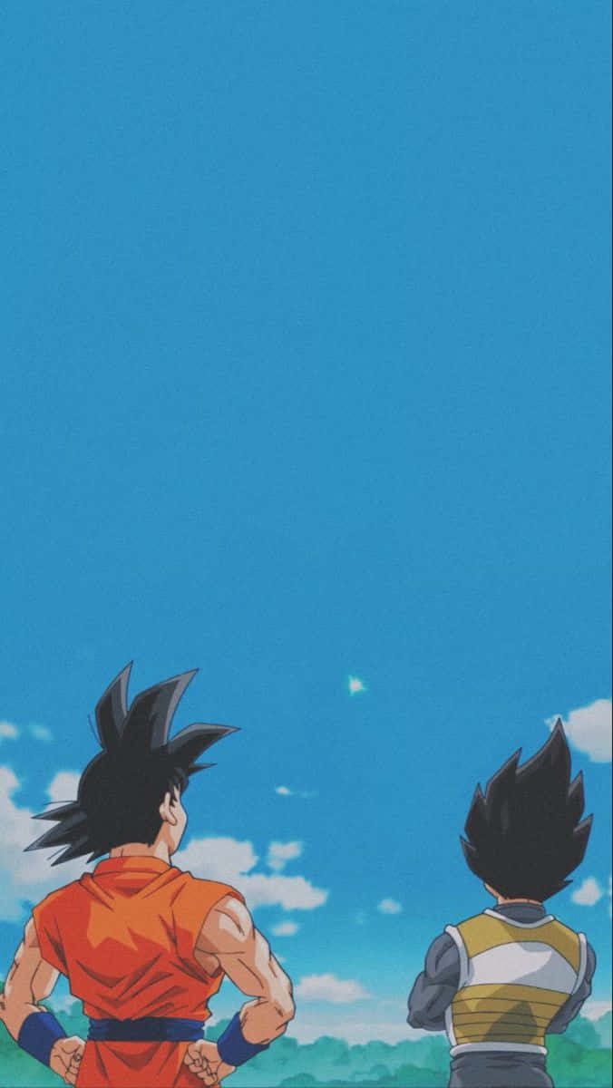  Vegeta Hintergrundbild 676x1200. Goku And Vegeta iPhone Wallpaper