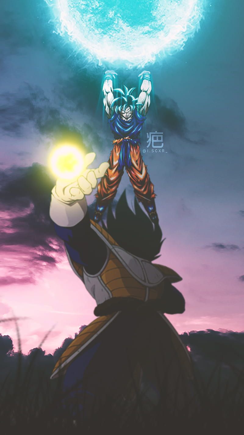  Vegeta Hintergrundbild 800x1422. Goku vs Vegeta, aesthetic, sky, sunrise, dragon balls z, nature, saiyan, kamehameha, HD phone wallpaper