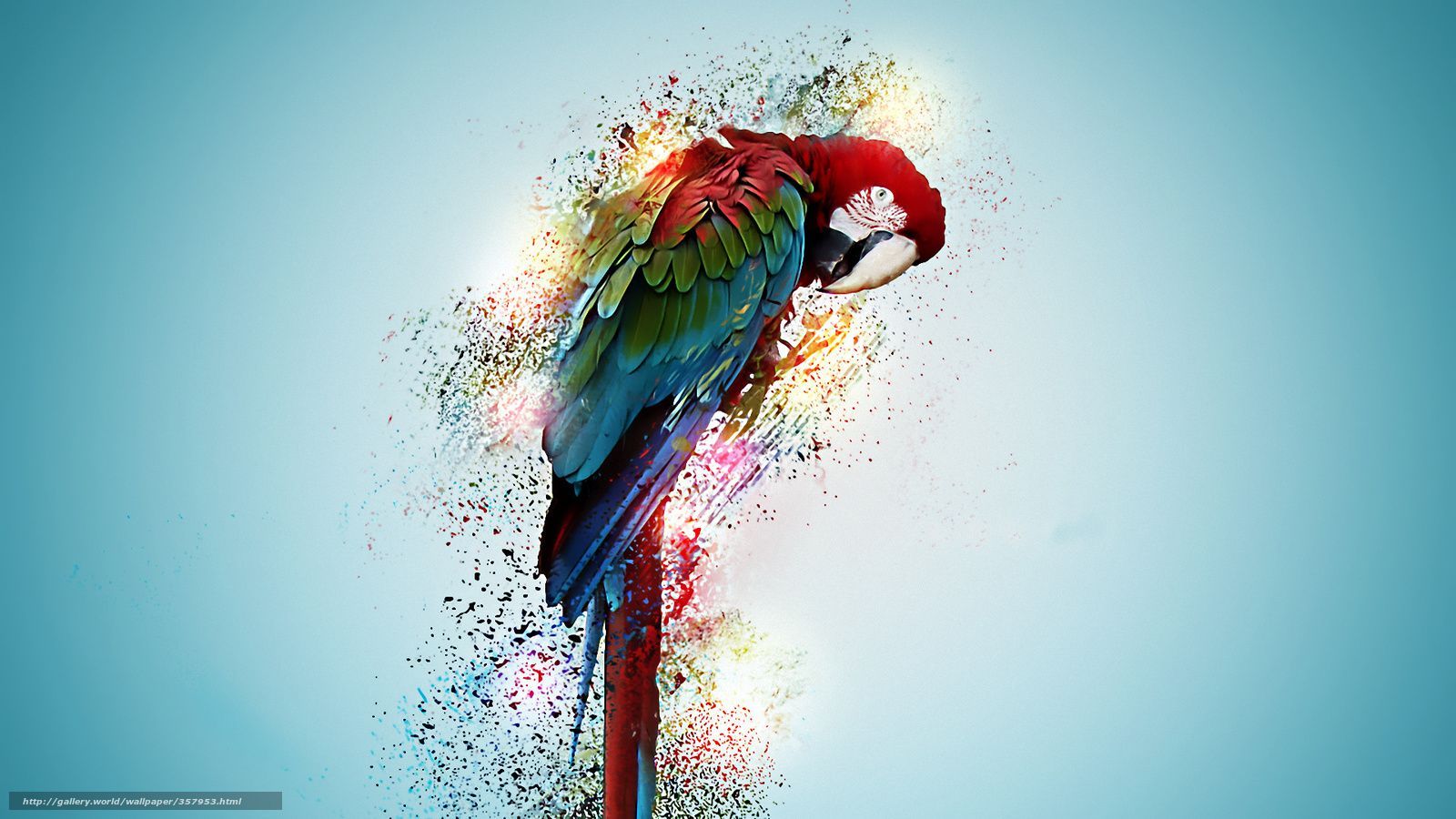  Papagei Hintergrundbild 1600x900. Kunst