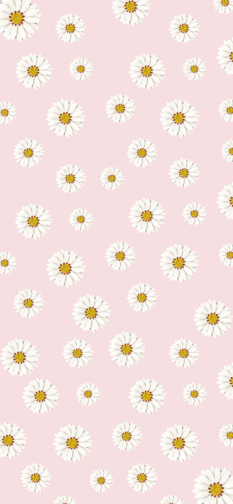  Design Hintergrundbild 770x1666. Download Daisy Pattern Design Pink Aesthetic Background