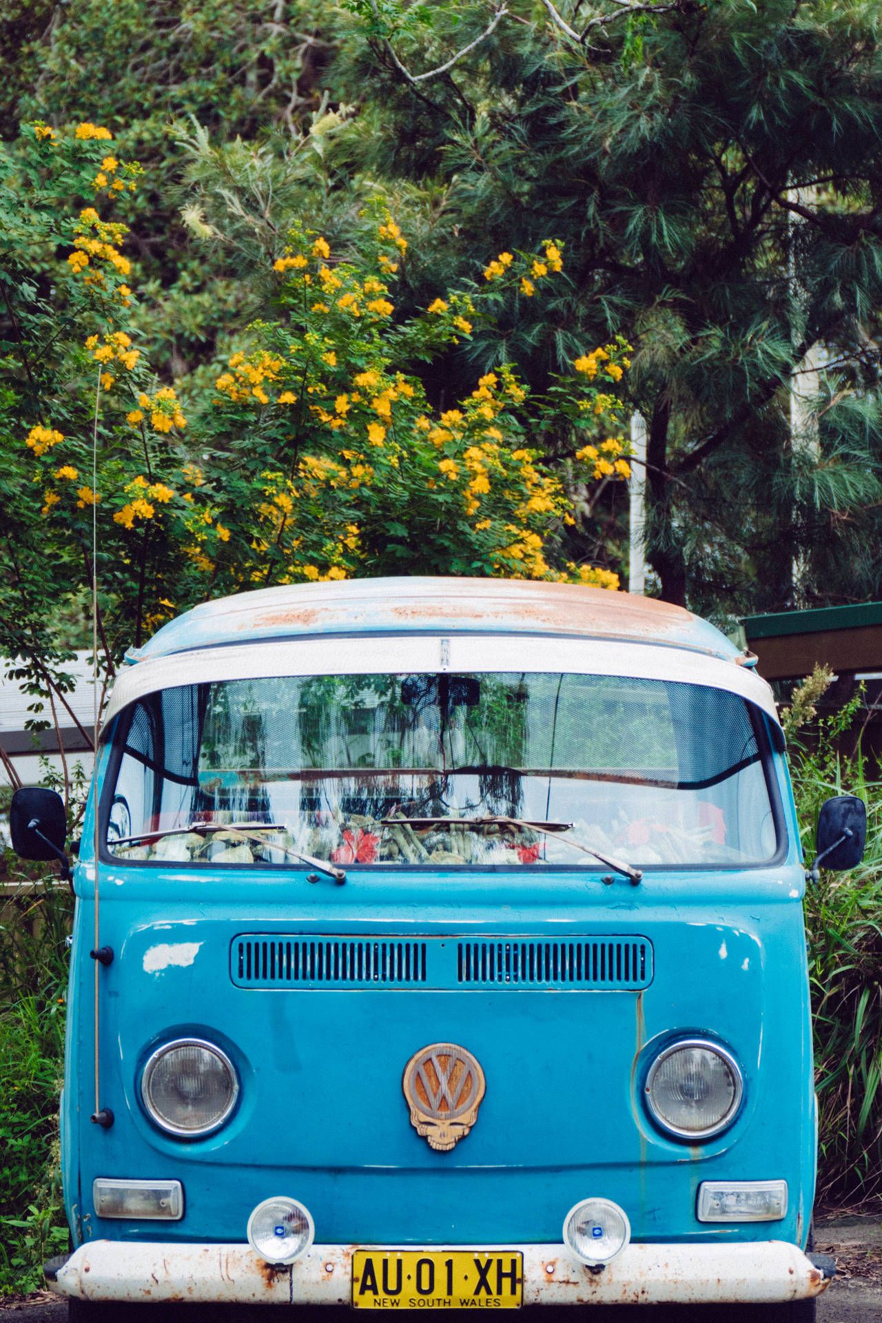 Volkswagen Hintergrundbild 1280x1920. Download free Blue Volkswagen Microbus Wallpaper