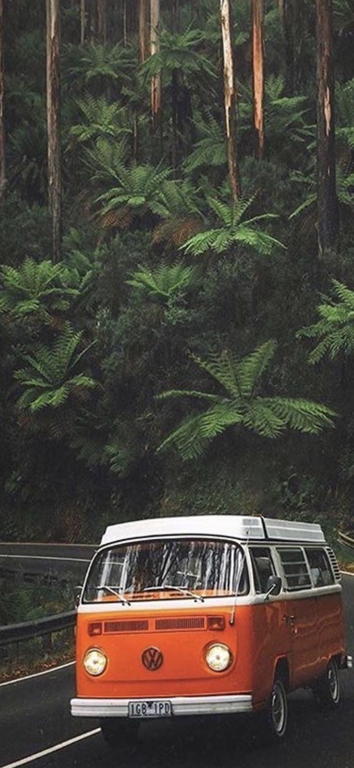  Volkswagen Hintergrundbild 694x1504. hippie van wallpaper. Hippie van, Hippie picture, Scenery background