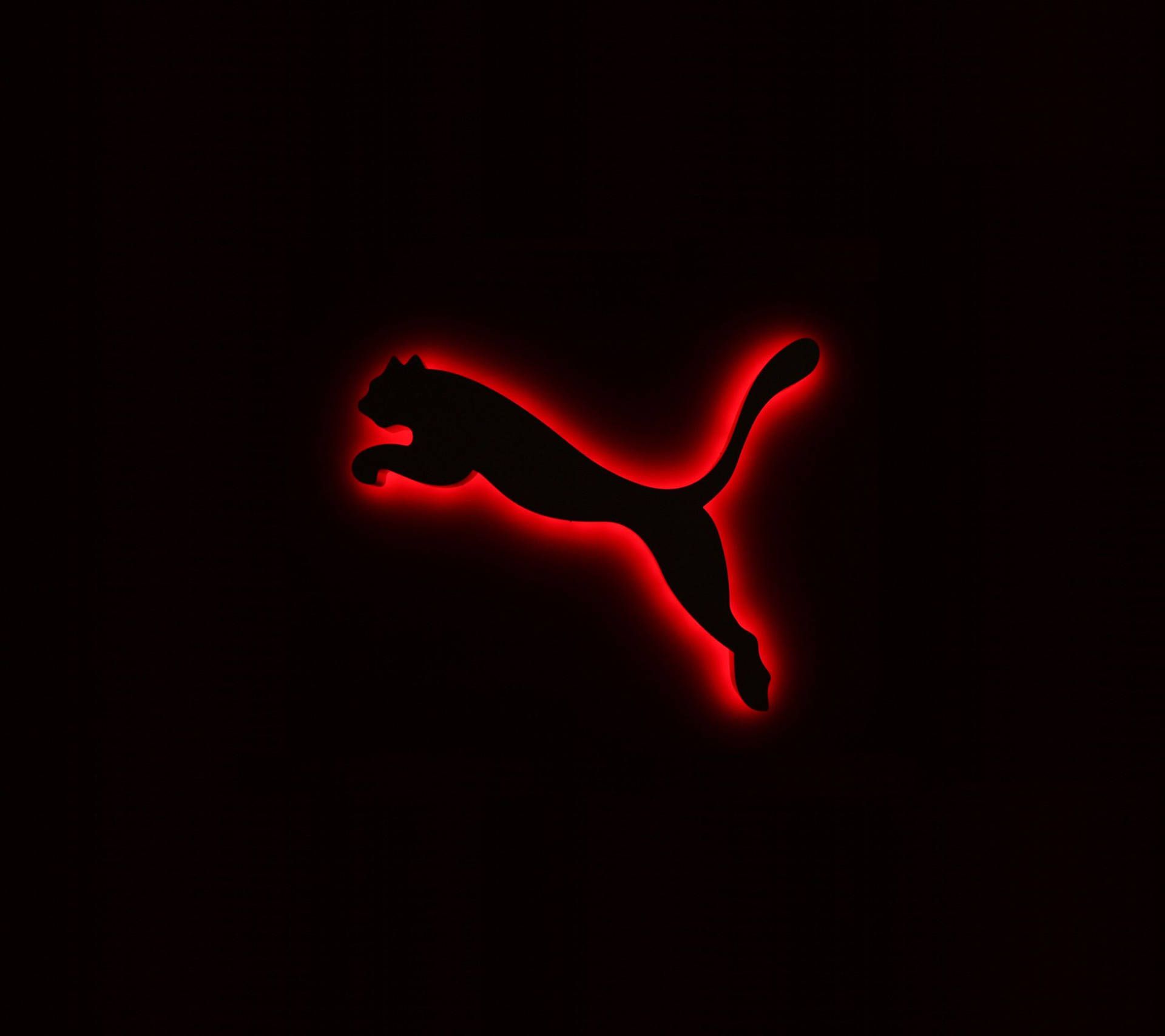  Puma Hintergrundbild 1920x1707. + Puma Wallpaper Full HD, 4K✓Free to Use