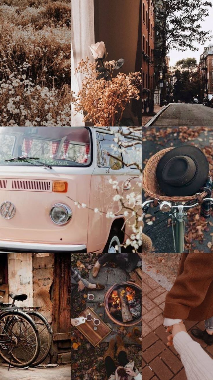  Volkswagen Hintergrundbild 736x1311. Autumn Collage Aesthetic Wallpaper : Brown & Pink Autumn Mood I Take You. Wedding Readings. Wedding Ideas