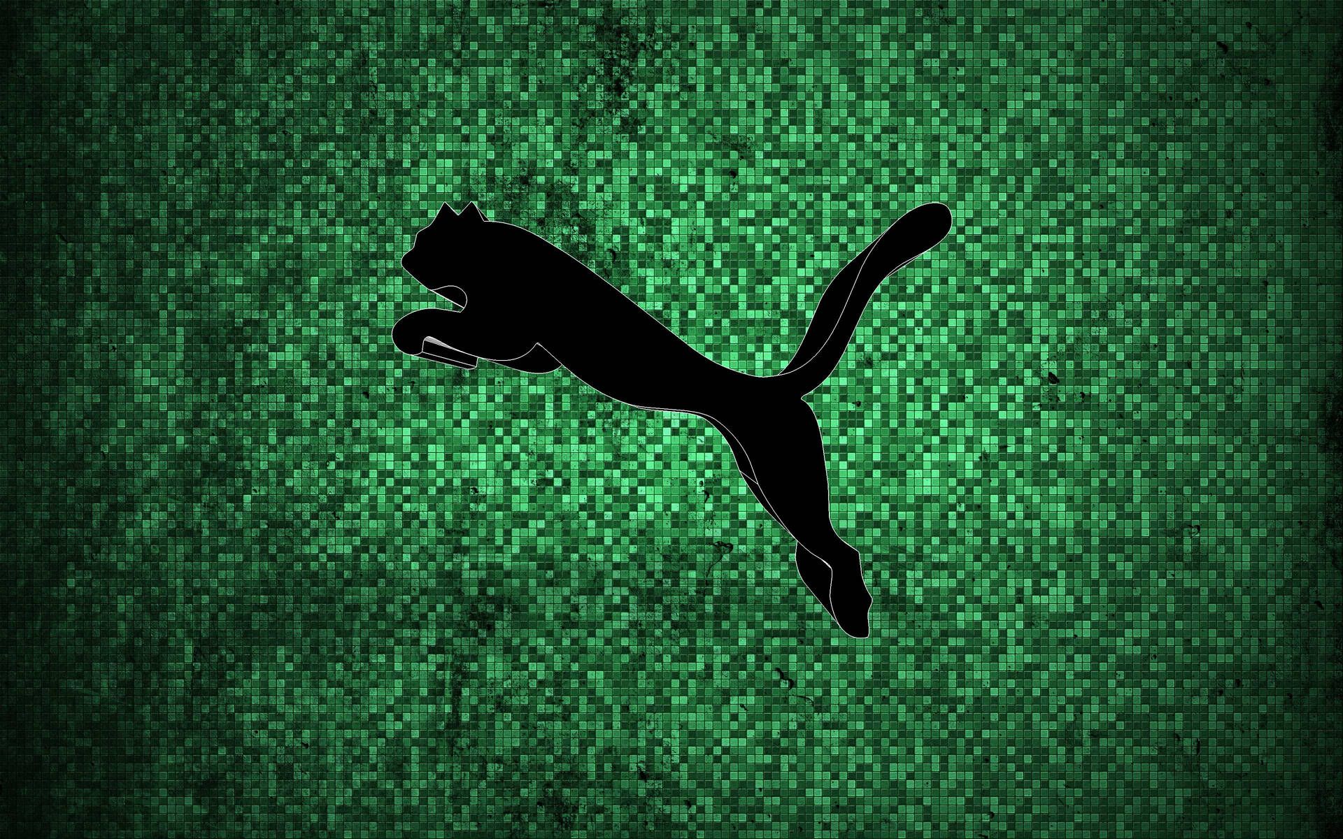  Puma Hintergrundbild 1920x1200. Puma Wallpaper