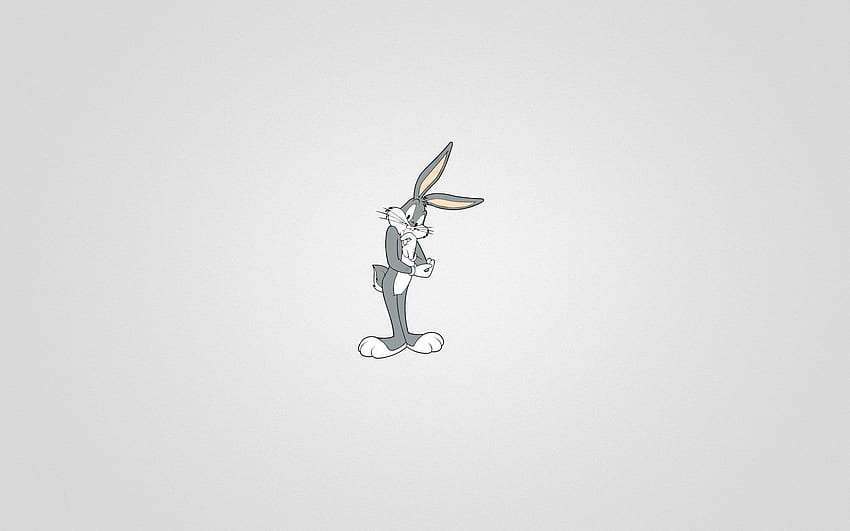  Looney Tunes Hintergrundbild 850x531. Looney Tunes, Looney Tunes Aesthetic HD wallpaper