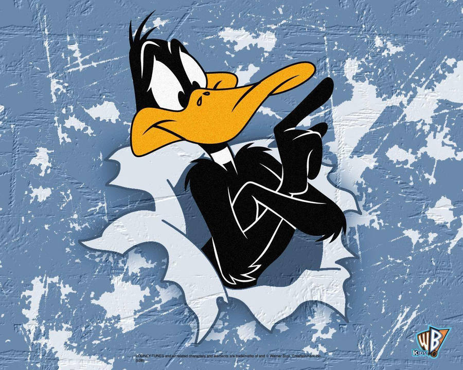 Looney Tunes Hintergrundbild 900x720. Free Daffy Duck HD Wallpaper & Background