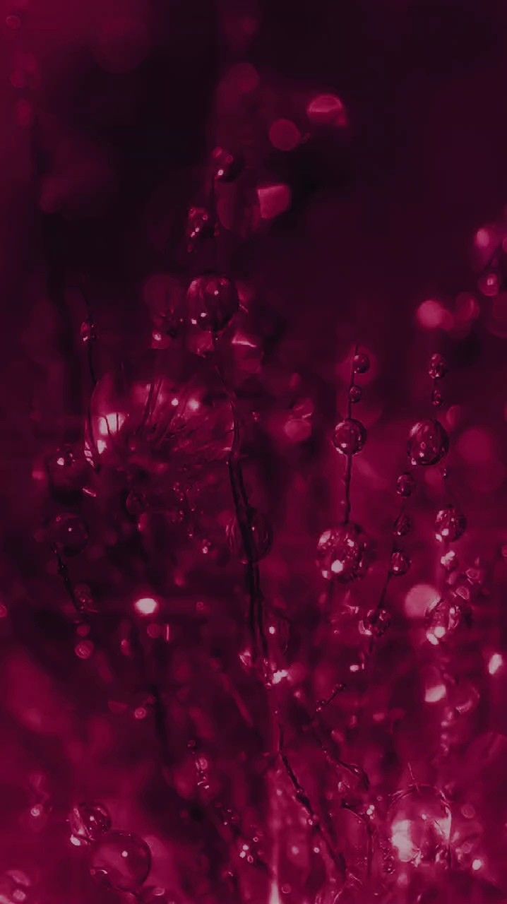  Magenta Hintergrundbild 718x1280. Glistening Magenta Water Pearls
