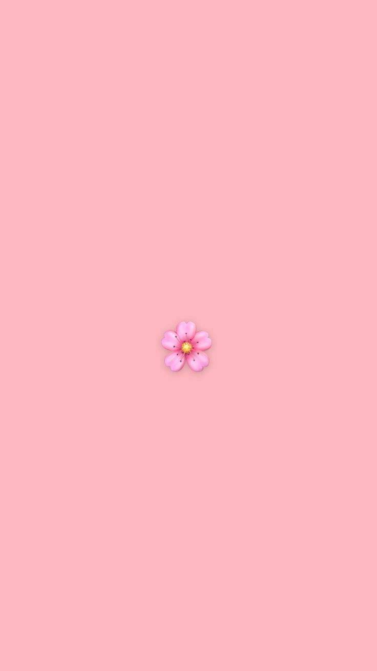  Schleife Hintergrundbild 736x1309. Pink flower aesthetic wallpaper emoji. Flower aesthetic, Pink flowers, Pink