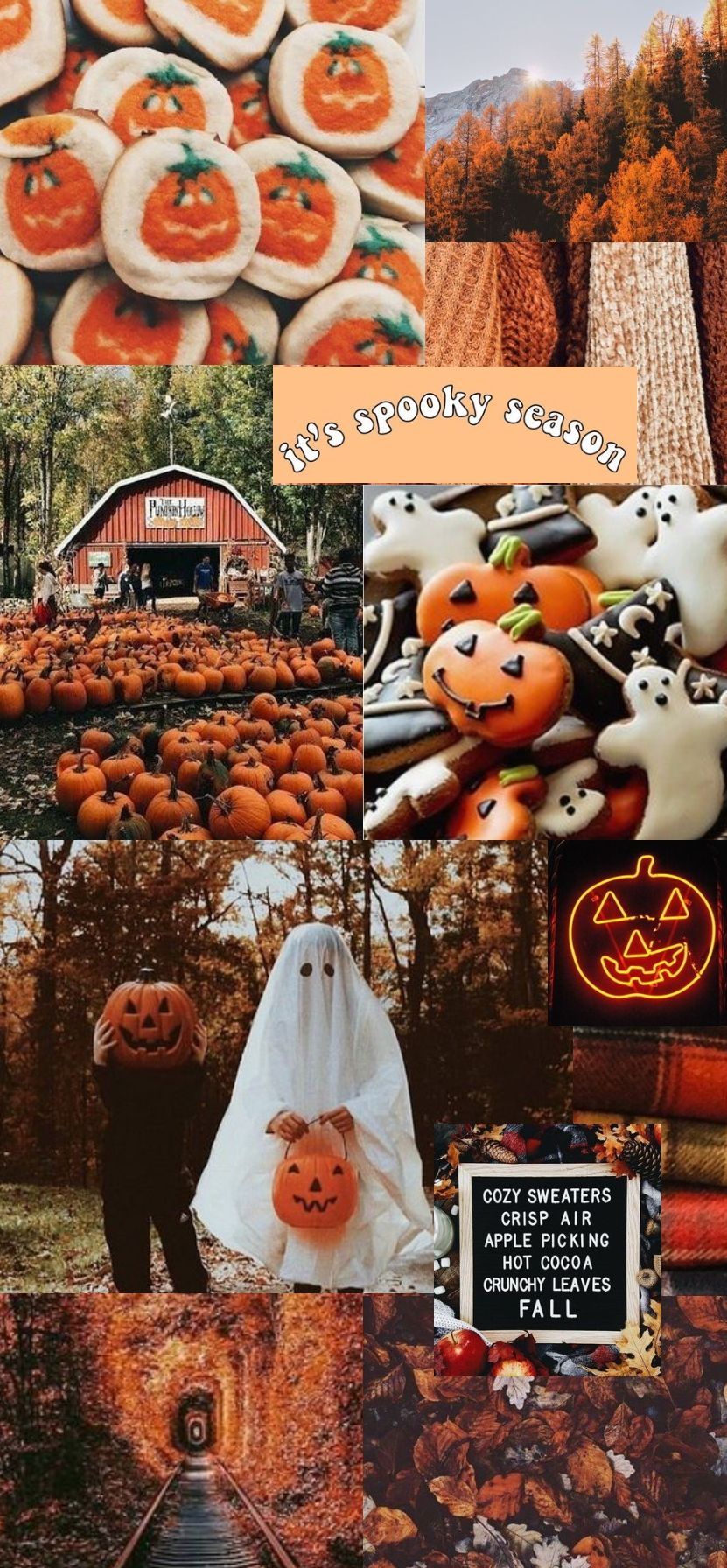  Erntedankfest Hintergrundbild 831x1792. fall background. Carte halloween, Fond halloween, Idées de cartes