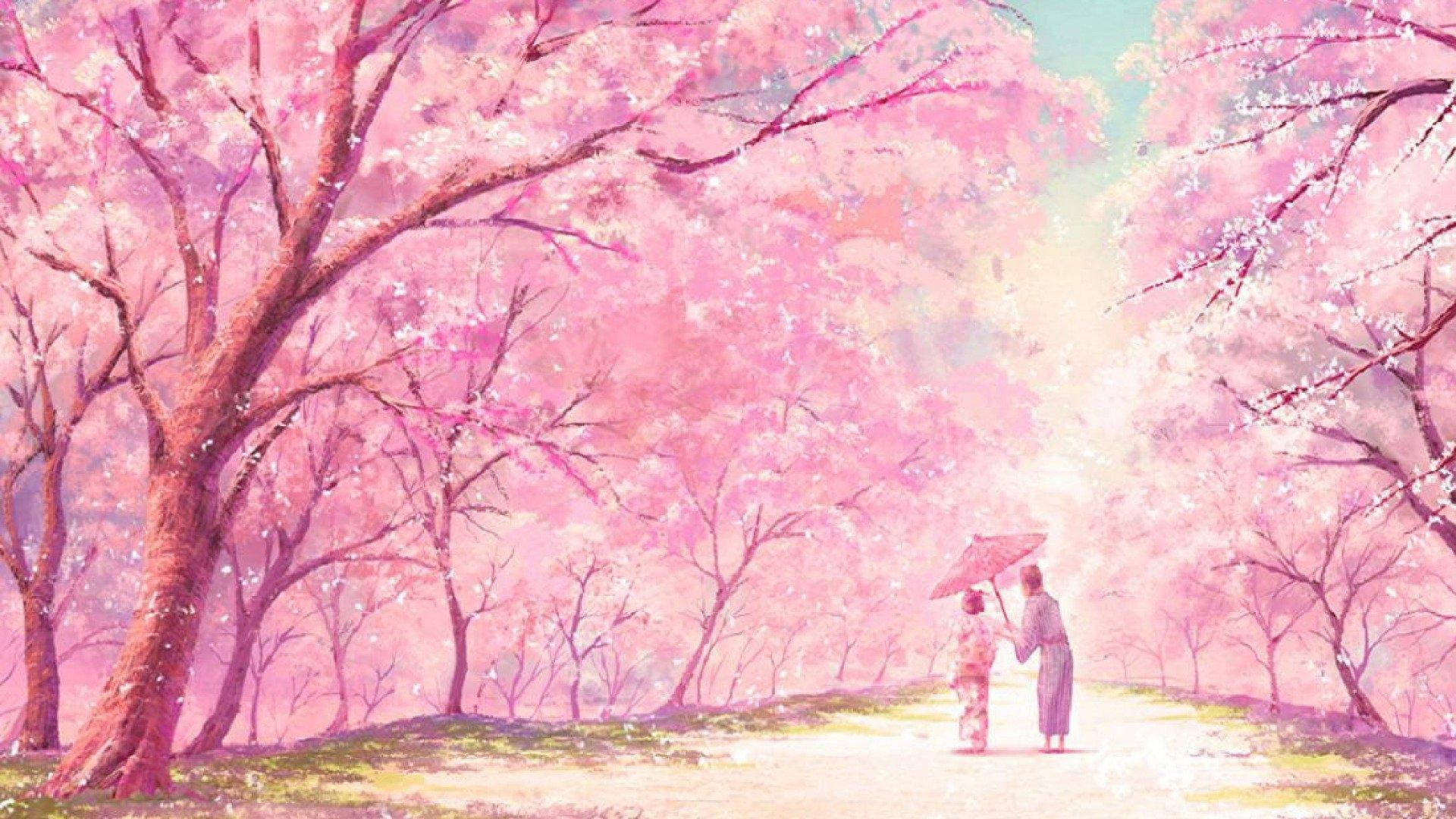  Baum Hintergrundbild 1920x1080. Downloaden Sanfterästhetischer Sakura Baum Wallpaper
