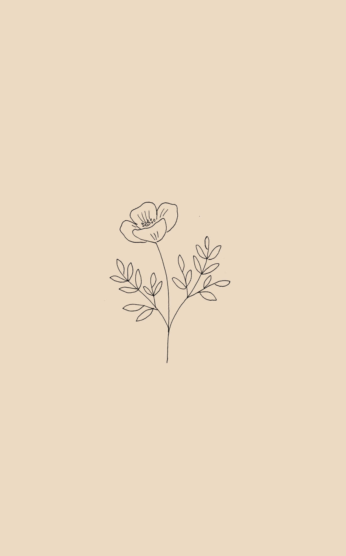  Blume Hintergrundbild 1196x1920. Einfache Blume Wallpaper KOSTENLOS